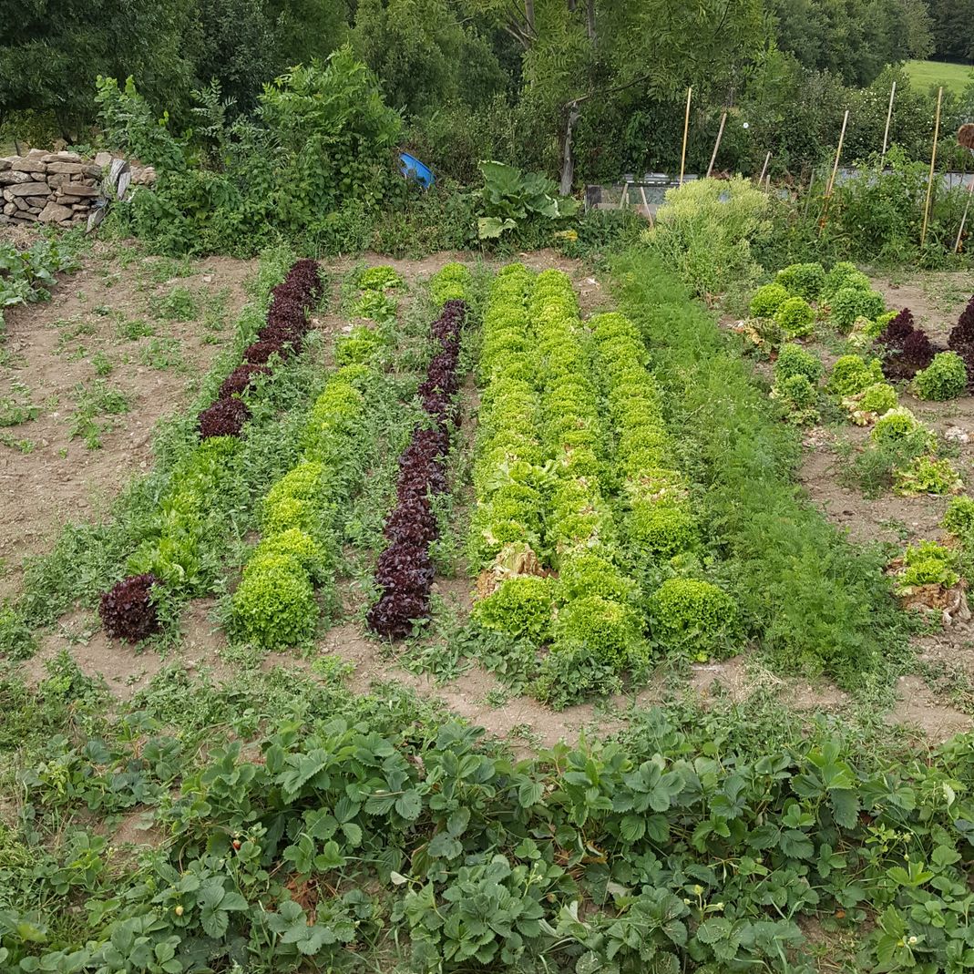 les jardins Auberge de Grange Rouet