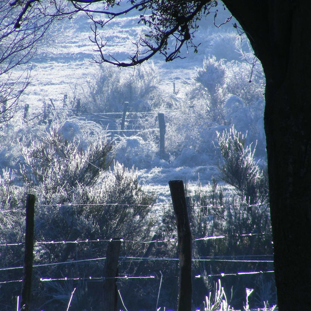 l'hiver à Pavezin