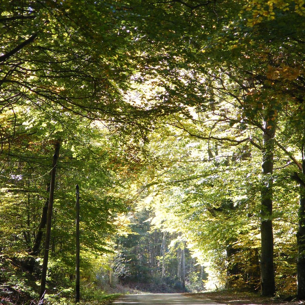 arrivée toute en verdure avec l'Auberge de Grange Rouet